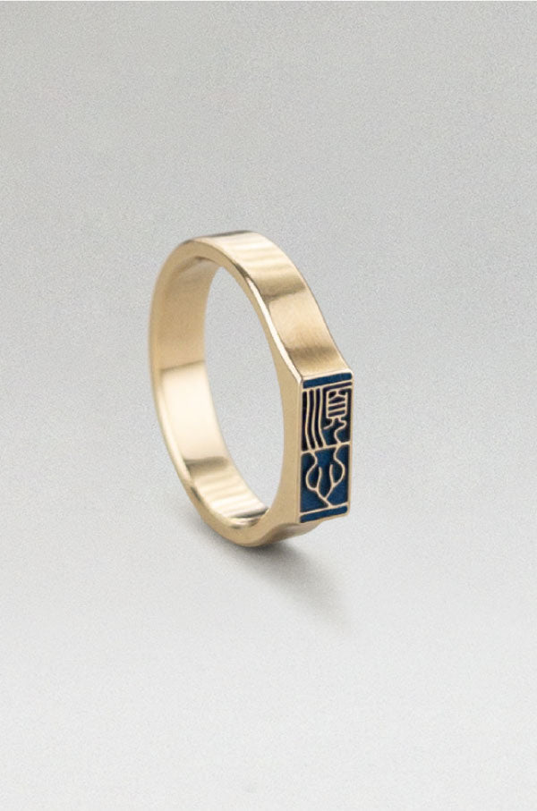Fully Customizable Ring